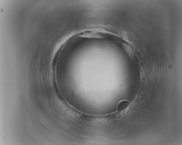 X0000071380342200607142116