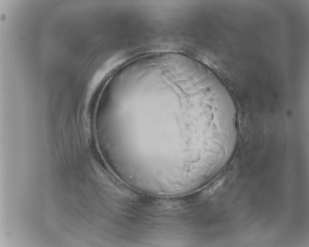 X0000071380343200607142116