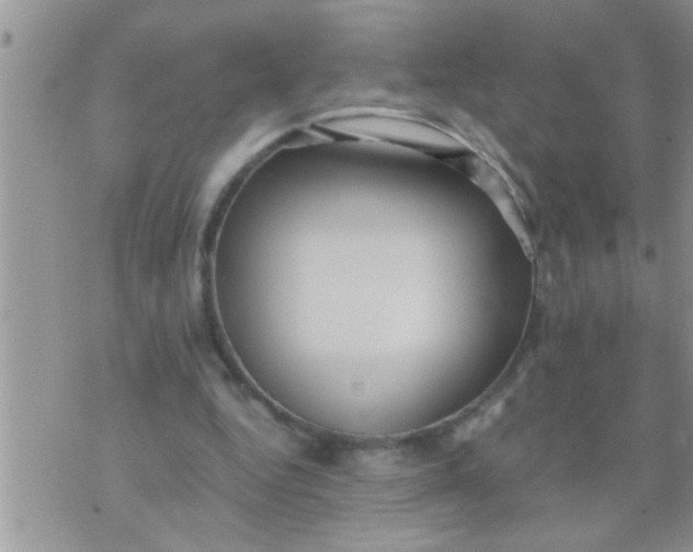 X0000071380344200607142116