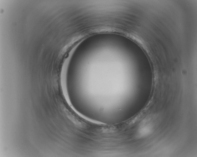 X0000071380345200607142116