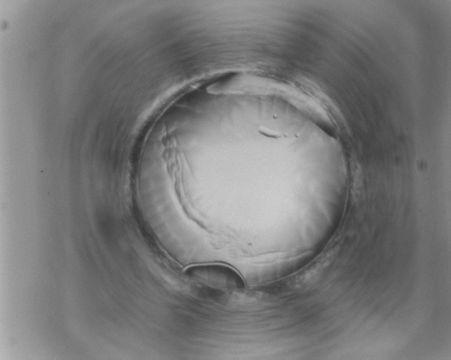 X0000071380346200607142116