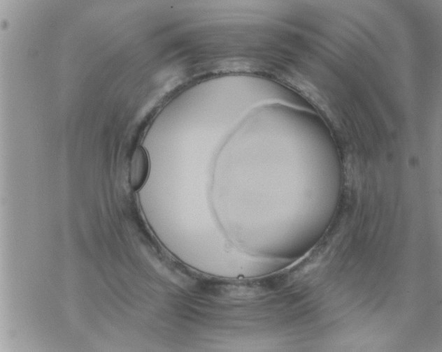 X0000071380347200607142116