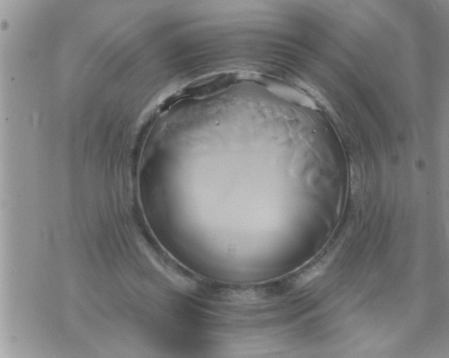 X0000071380349200607142116