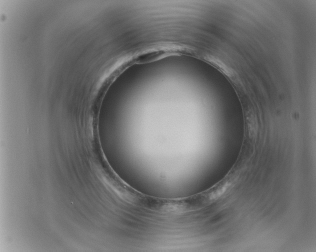 X0000071380350200607142116