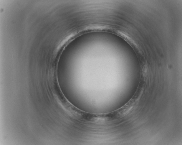 X0000071380352200607142116