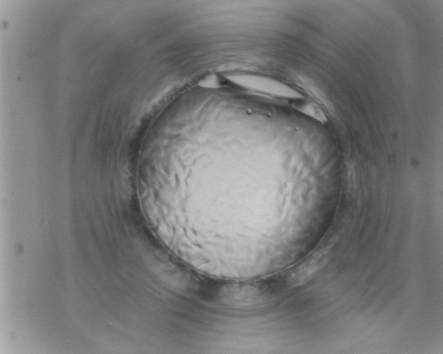 X0000071380354200607142116