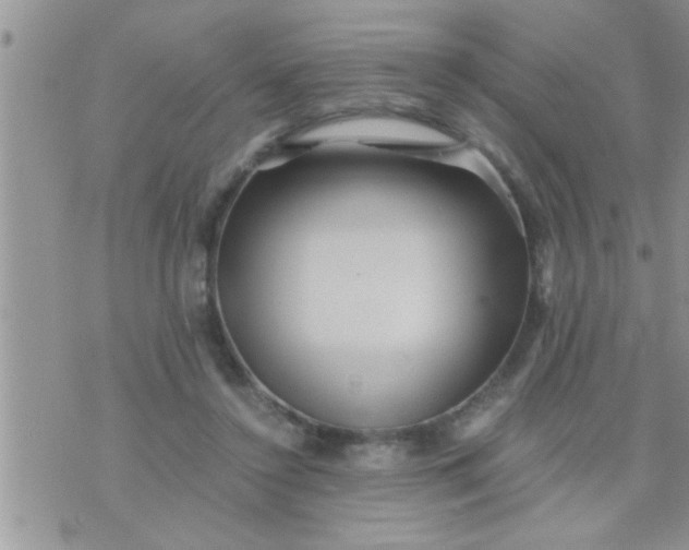 X0000071380356200607142116