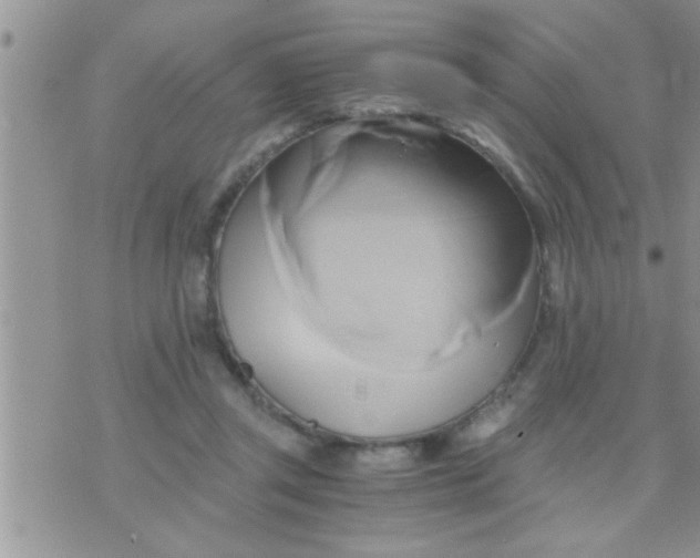 X0000071380357200607142116