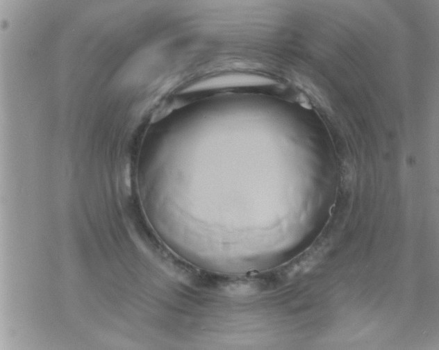 X0000071380358200607142116