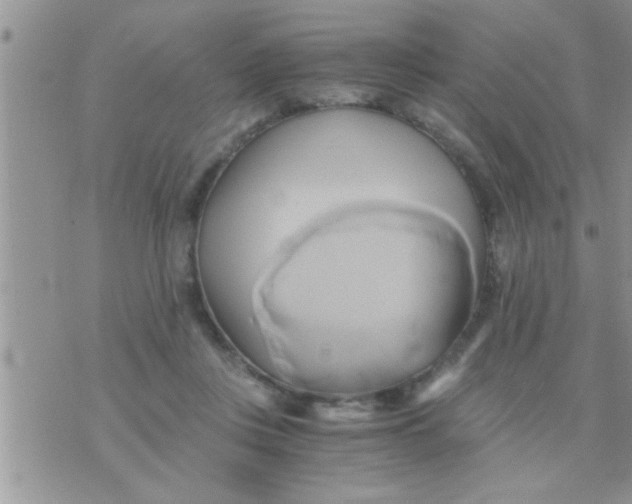 X0000071380359200607142116