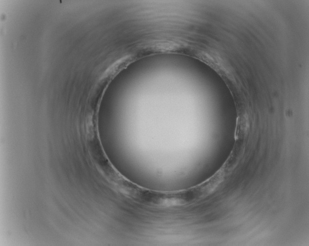 X0000071380360200607142116