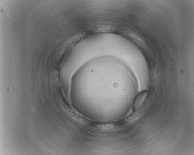 X0000071380361200607142116