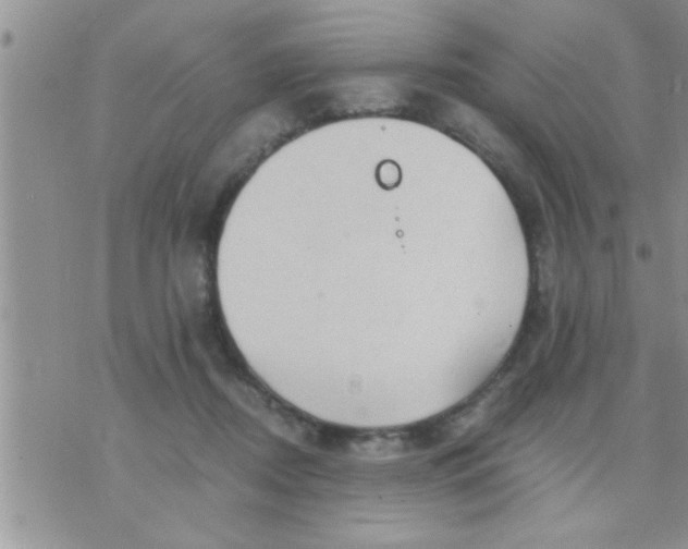 X0000071380362200607142116