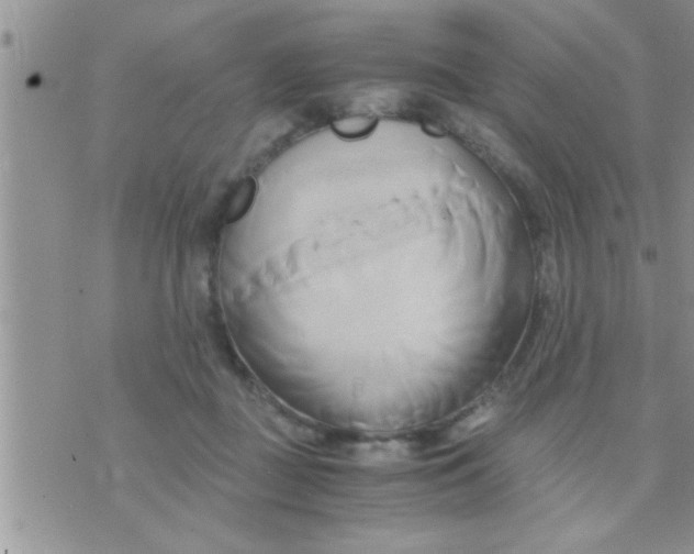 X0000071380363200607142116