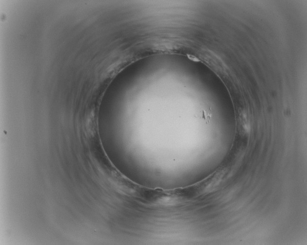 X0000071380364200607142116