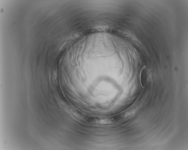 X0000071380365200607142116