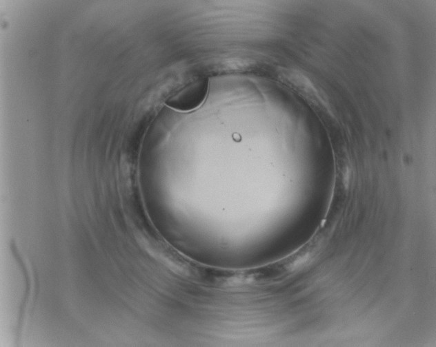 X0000071380366200607142116