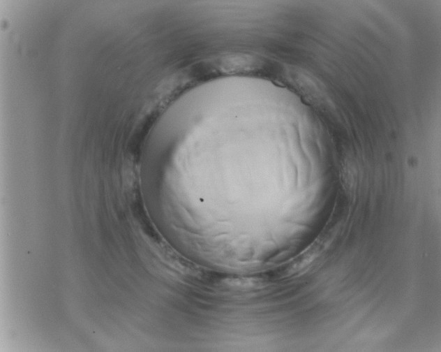 X0000071380367200607142116