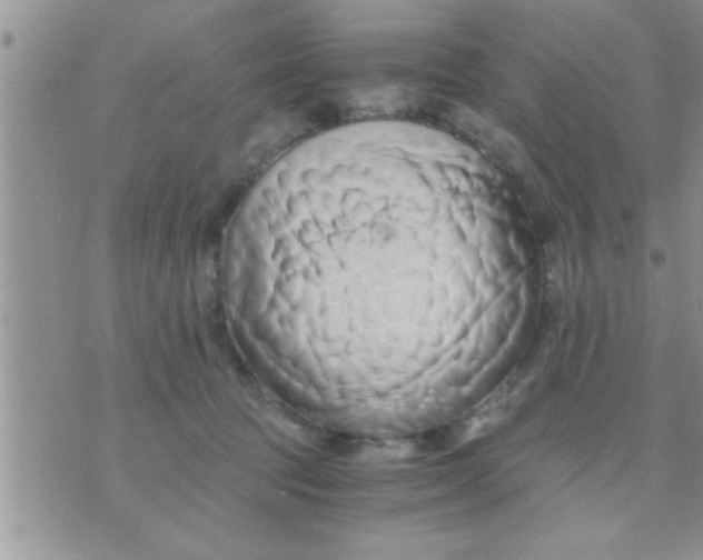 X0000071380369200607142116