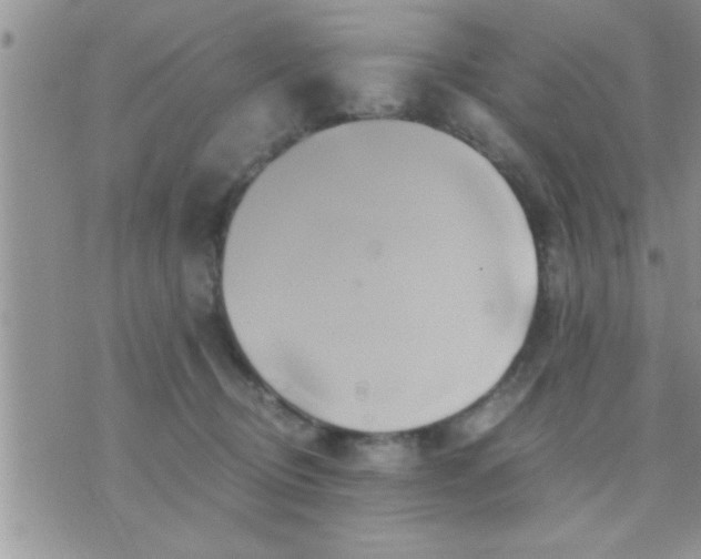 X0000071380370200607142116