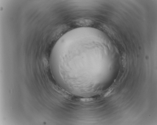 X0000071380371200607142116