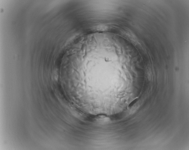 X0000071380374200607142116