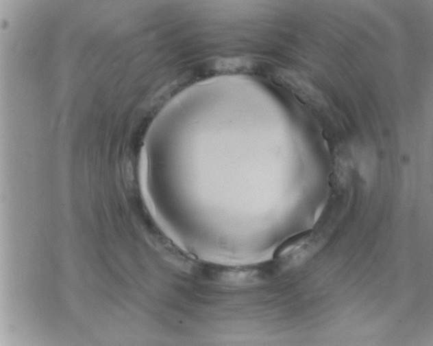 X0000071380375200607142116