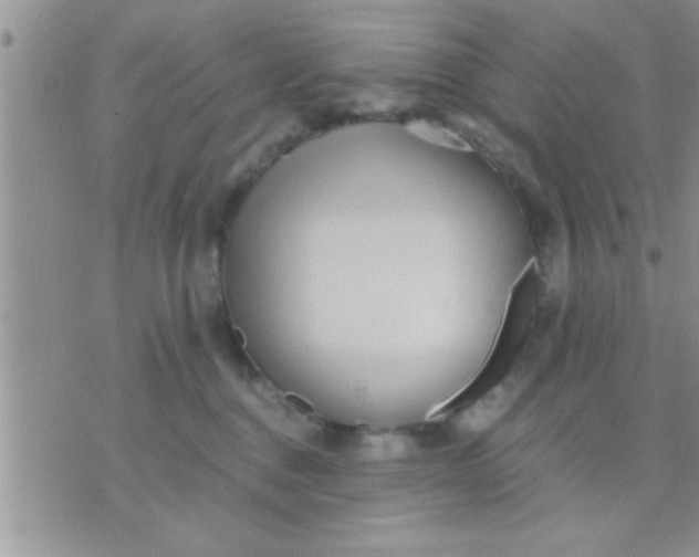 X0000071380376200607142116