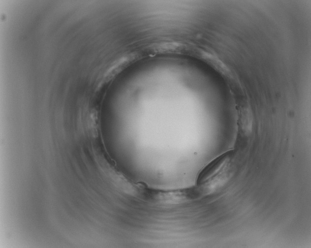 X0000071380378200607142117