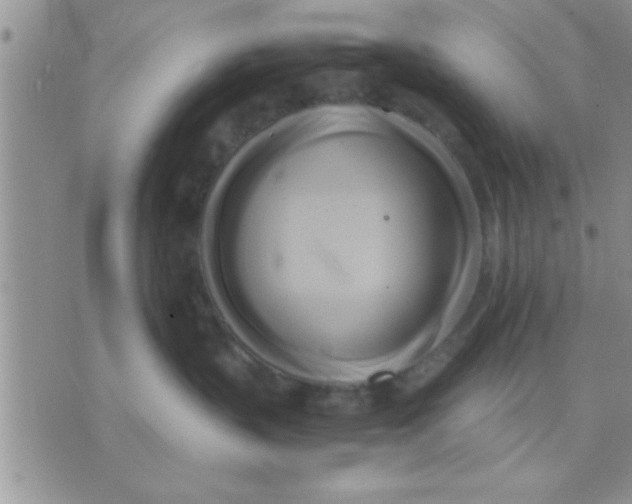 X0000071380383200607142117