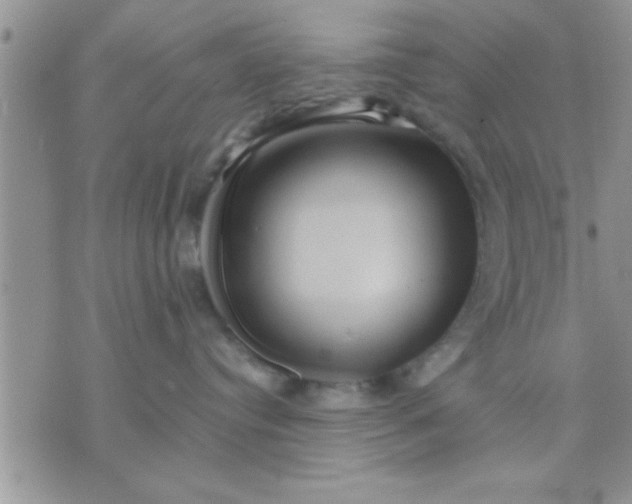 X0000071380384200607142117