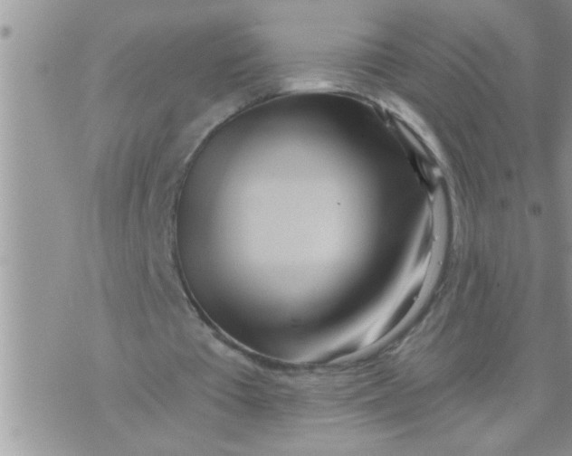 X0000071380385200607142116