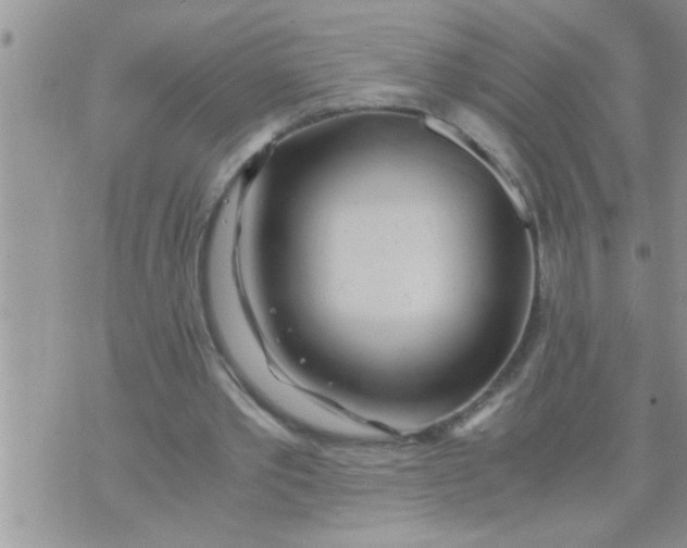 X0000071380389200607142116