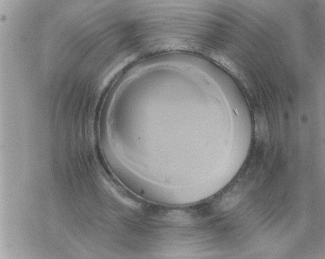 X0000071380390200607142116