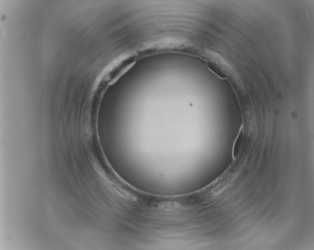 X0000071380392200607142116