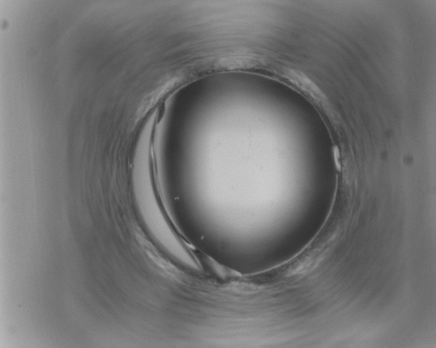 X0000071380393200607142116