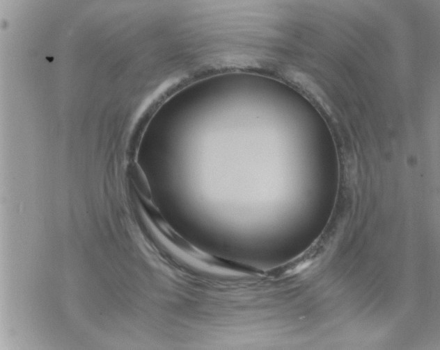 X0000071380395200607142116