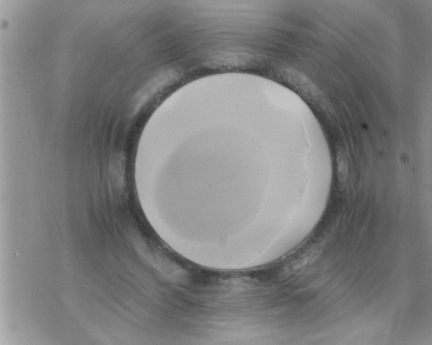 X0000071380396200607142116