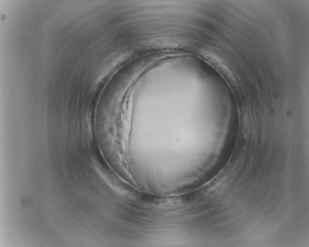 X0000071380398200607142116