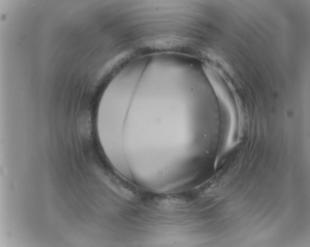 X0000071380400200607142116