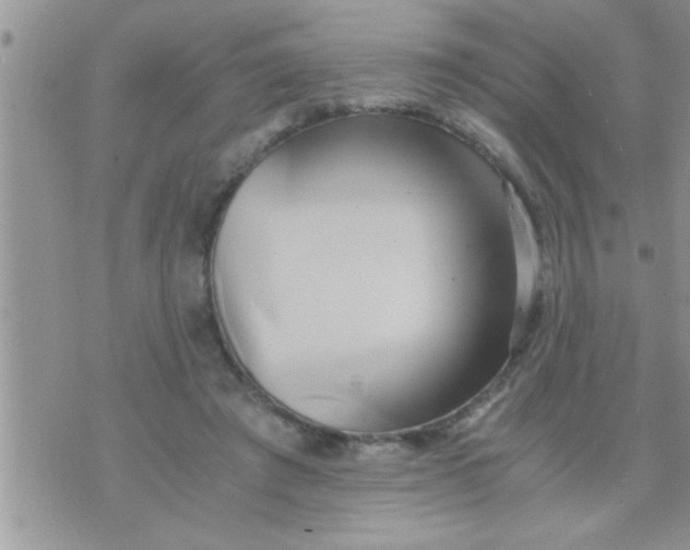 X0000071380401200607142116