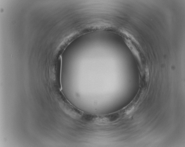 X0000071380403200607142116