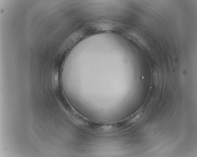 X0000071380406200607142115