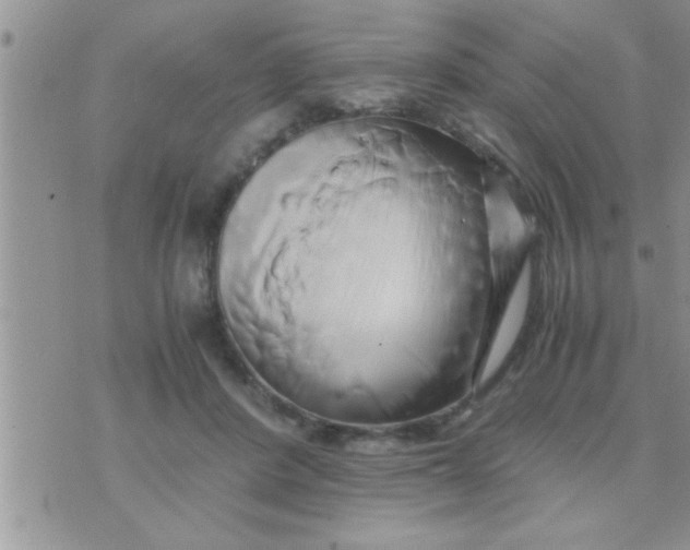 X0000071380408200607142115