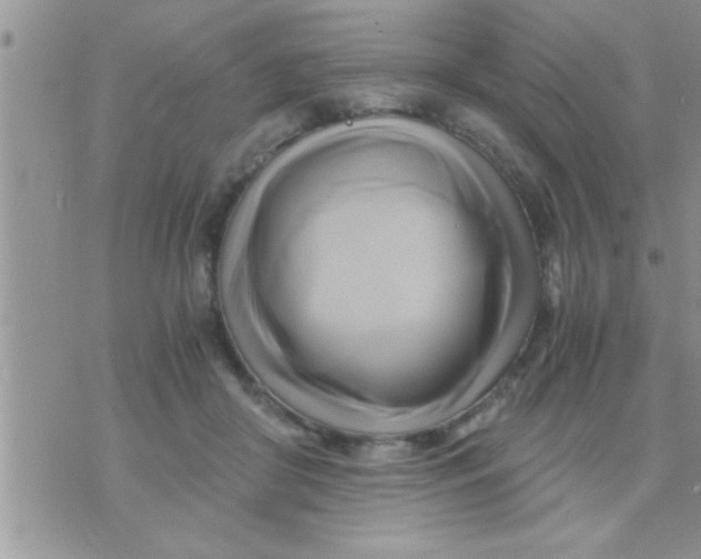 X0000071380410200607142115