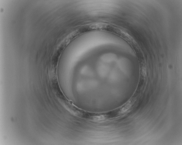 X0000071380411200607142115