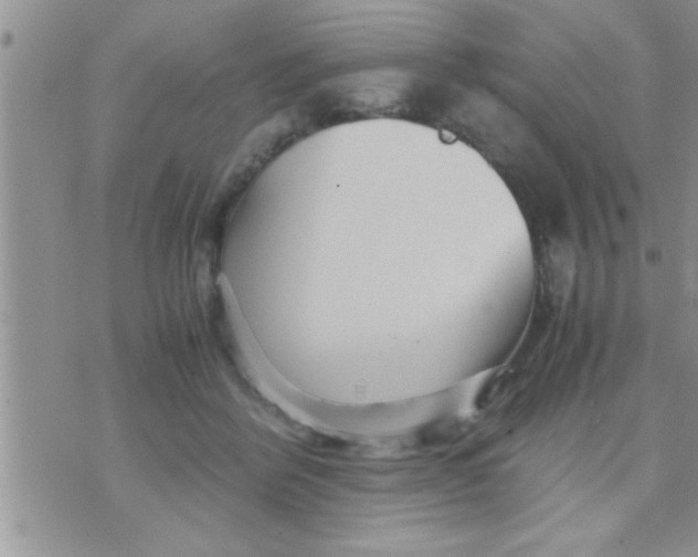 X0000071380412200607142115