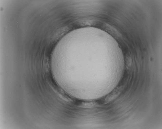 X0000071380414200607142115