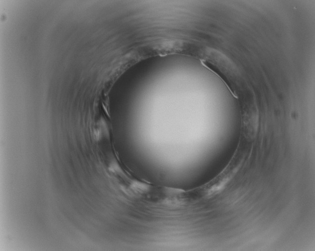 X0000071380416200607142115