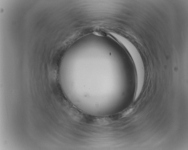 X0000071380417200607142115